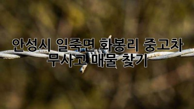 안성시 일죽면 화봉리 중고차 무사고 매물 찾기